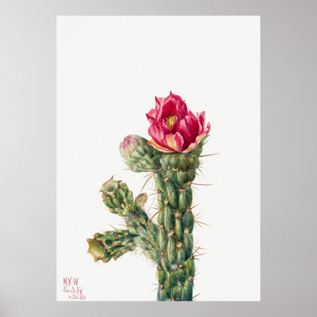 Cactus Flower Poster (Front)