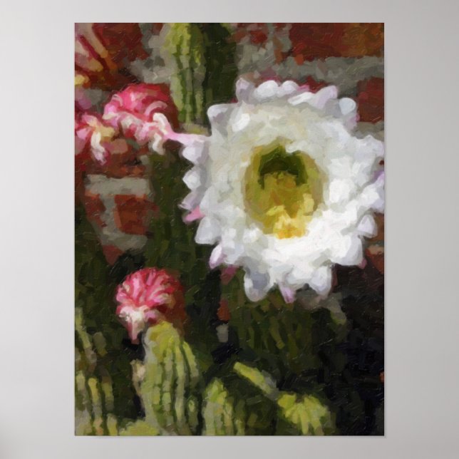 Cactus Flower Poster (Front)