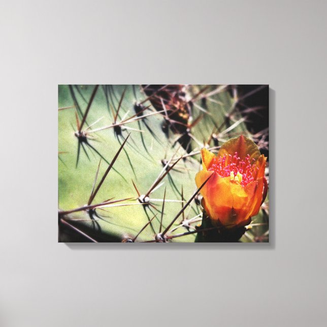 Cactus Flower Wrapped Canvas (Front)