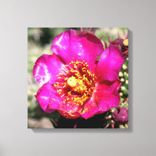 cactus flower wrapped canvas