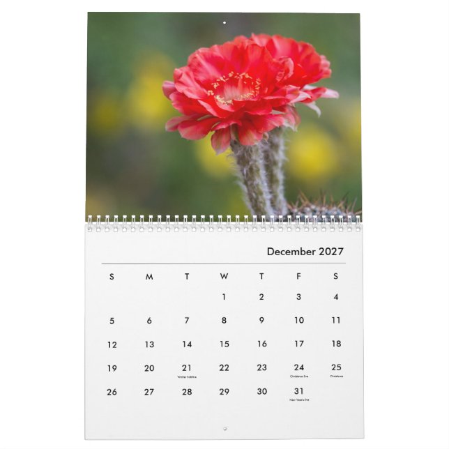 Cactus flowers calendar (Dec 2027)