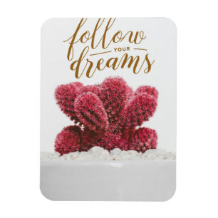 Cactus Follow Your Dreams Magnet