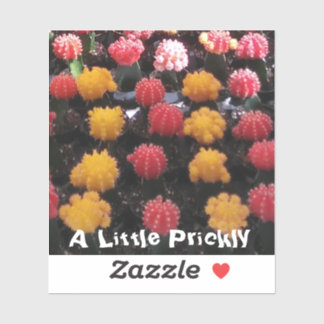 Cactus Fruit