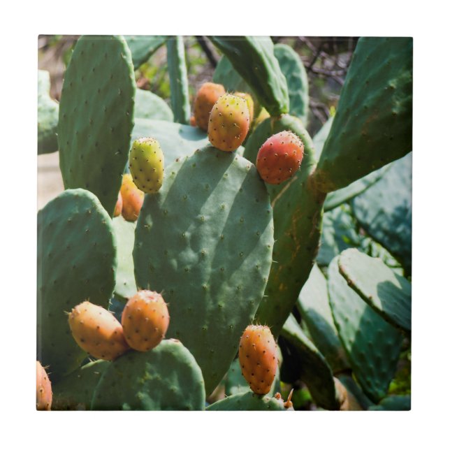 Cactus Fruit Tile (Front)