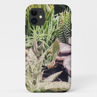 Cactus Garden iPhone 11 Case