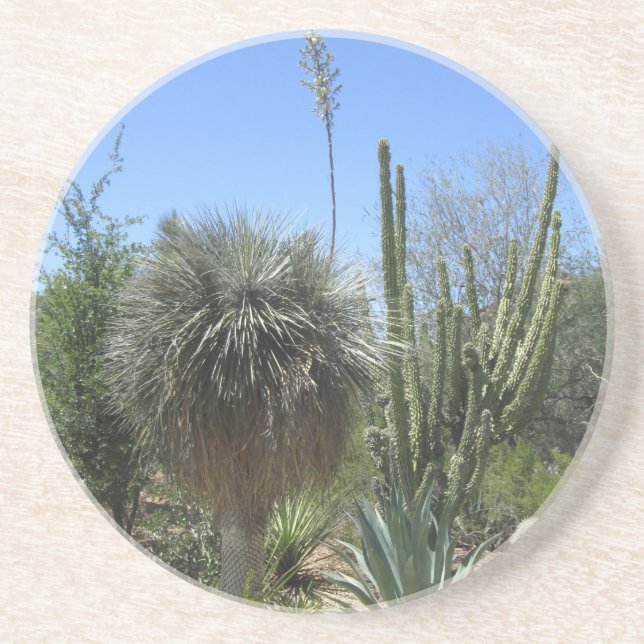 Cactus Garden Coaster (Front)