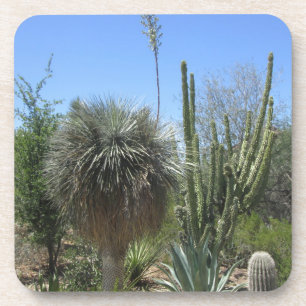 Cactus Garden Coaster