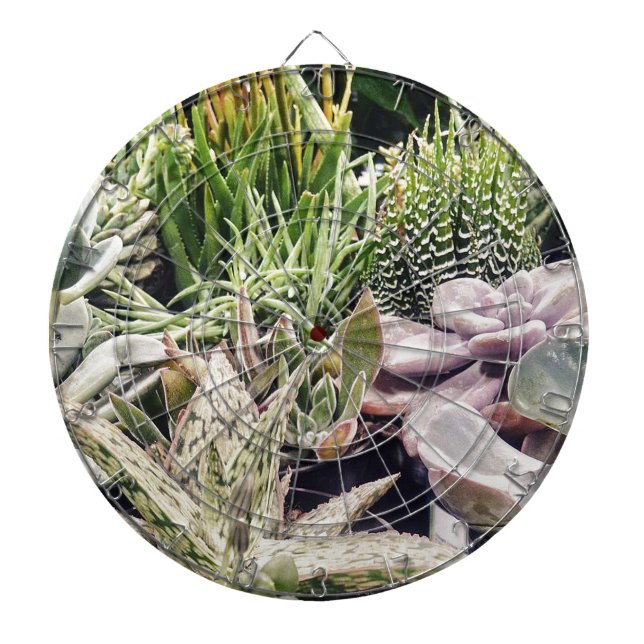 Cactus Garden Dartboard (Front)