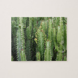 Cactus Garden Jigsaw Puzzle