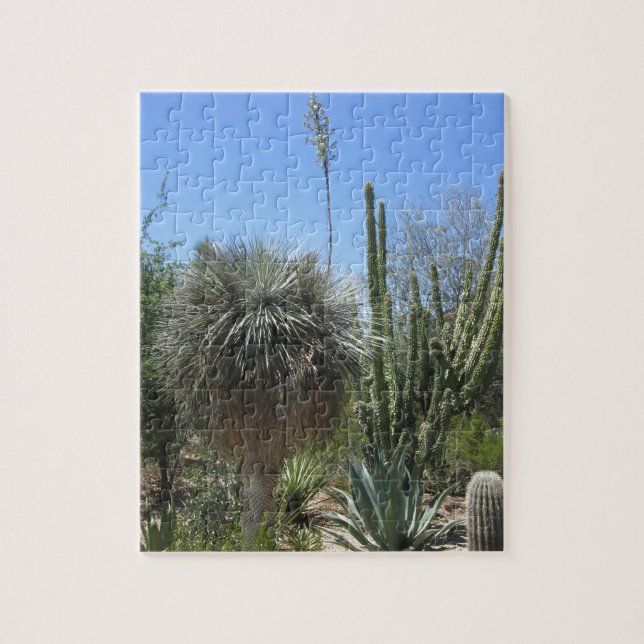 Cactus Garden Jigsaw Puzzle (Vertical)
