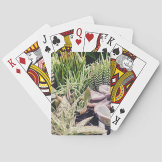 Cactus Garden Playing Cards