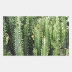 Cactus Garden Rectangular Sticker