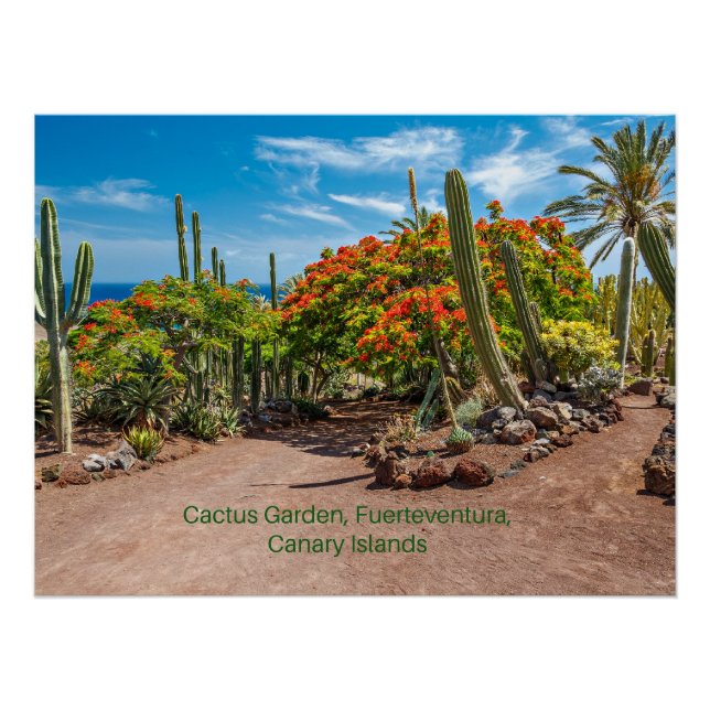 Cactus Garen, Fuerteventura, Canary Islands, Poster (Front)
