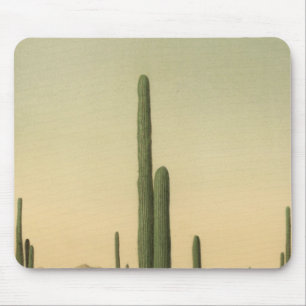 Cactus grove, Arizona Mouse Mat