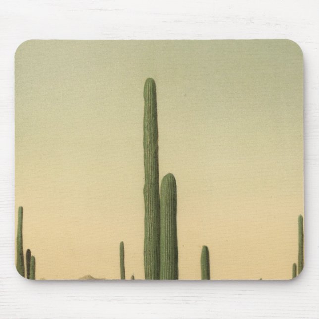 Cactus grove, Arizona Mouse Mat (Front)