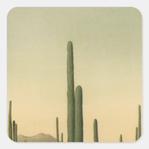 Cactus grove, Arizona Square Sticker