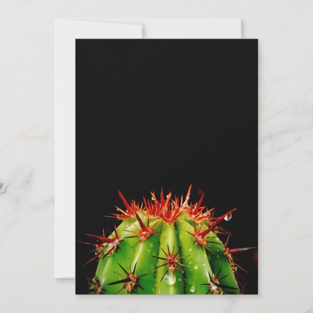 Cactus Holiday Card (Front)