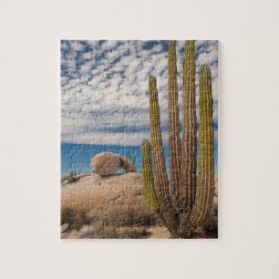 Cactus In Desert Scenic Jigsaw Puzzle