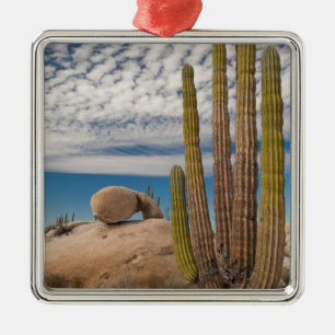 Cactus In Desert Scenic Metal Tree Decoration