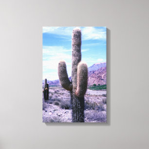 Cactus in Jujuy Province - Northern Argentina Canvas Print