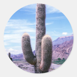 Cactus in Jujuy Province - Northern Argentina Classic Round Sticker