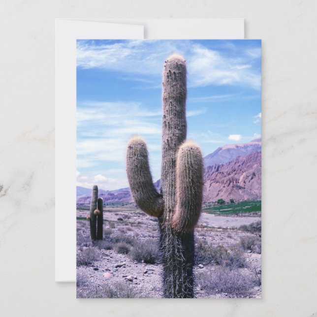 Cactus in Jujuy Province - Northern Argentina Invitation (Front)