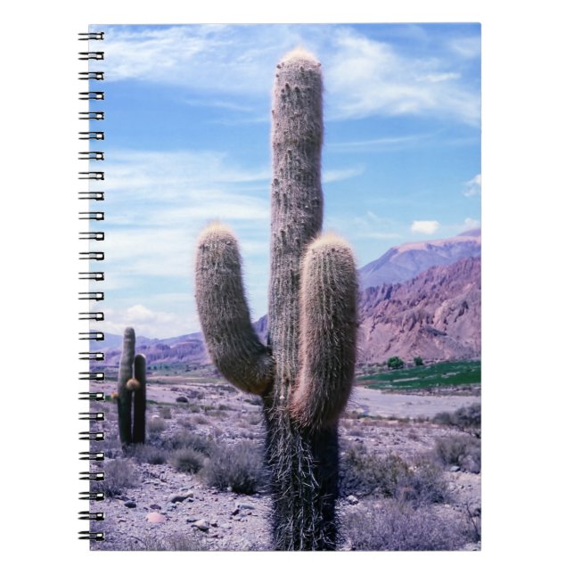 Cactus in Jujuy Province - Northern Argentina Notebook (Front)
