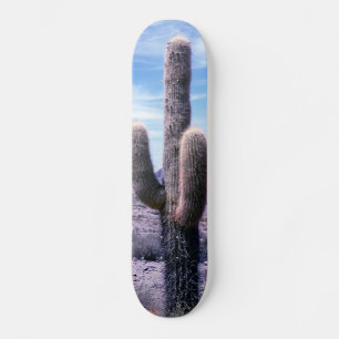 Cactus in Jujuy Province - Northern Argentina Skateboard