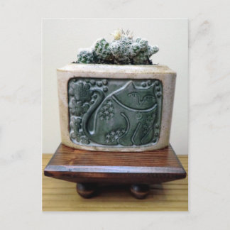 Cactus in Kitty Container by Succulent Designs Postcard