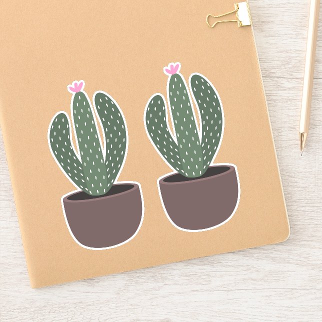 Cactus in pot (Notebook)