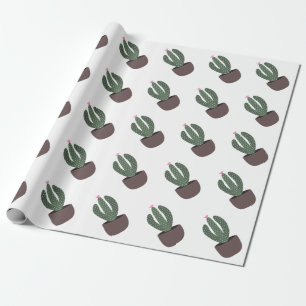 Cactus in pot wrapping paper