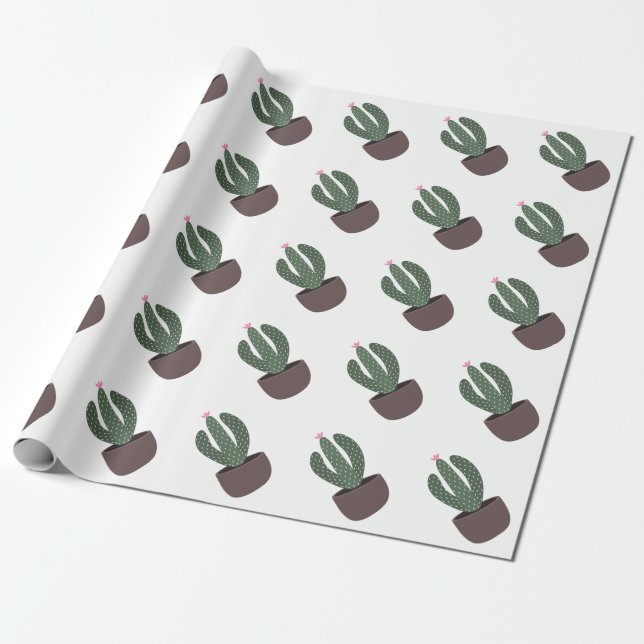 Cactus in pot wrapping paper (Unrolled)