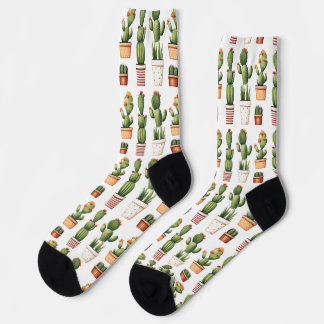 Cactus in pots with flowers socks