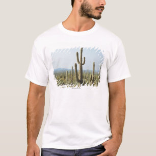 Cactus in Saguaro National Park , Arizona 2 T-Shirt