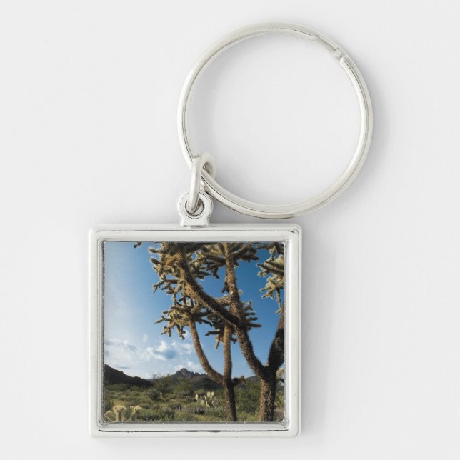 Cactus in Saguaro National Park , Arizona Key Ring (Front)