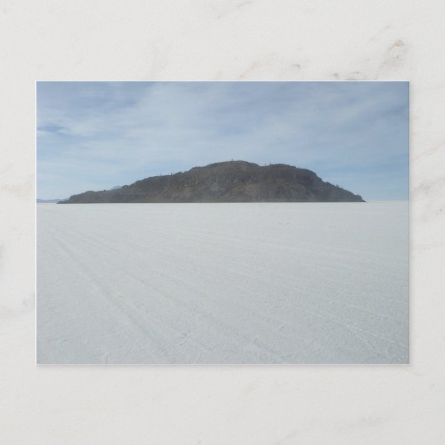 Cactus Island Postcard (Front)