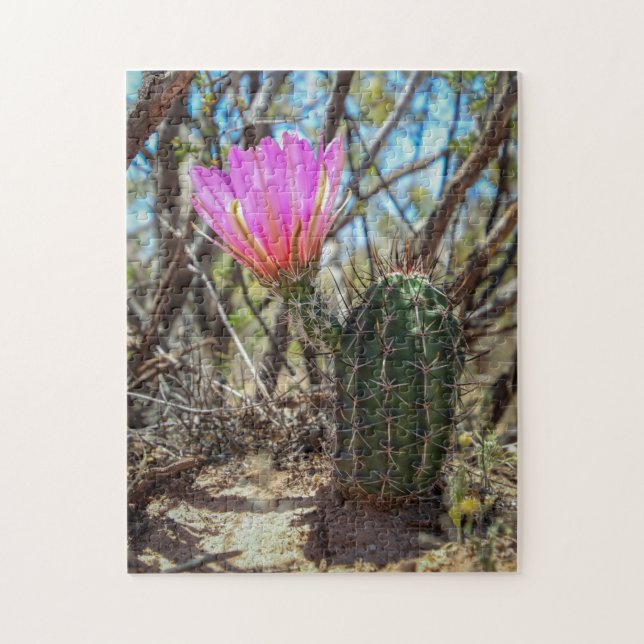 cactus jigsaw puzzle (Vertical)