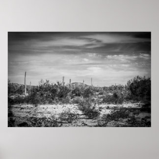 Cactus landscape poster