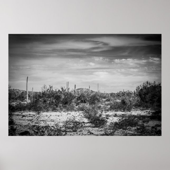 Cactus landscape poster (Front)
