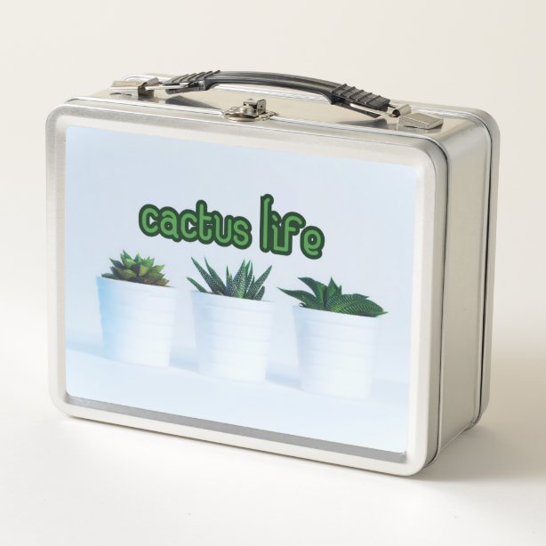 cactus lunch box