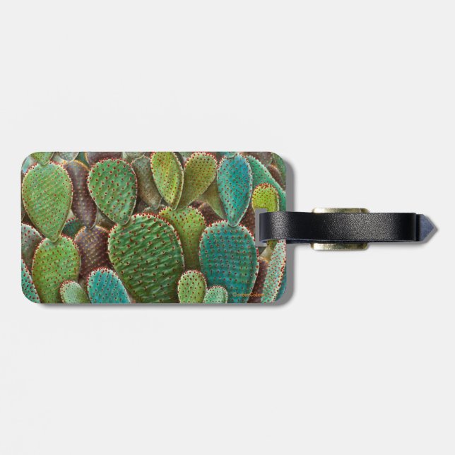 Cactus Luggage Tag (Back Horizontal)