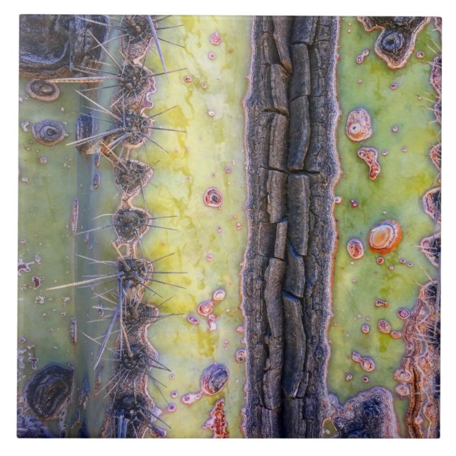 Cactus Macro Ceramic Tile (Front)