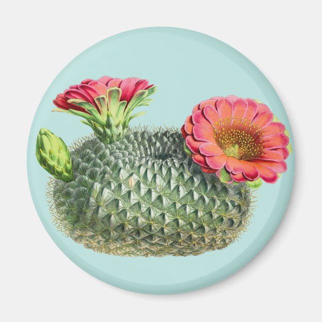Cactus Magnet (Front)