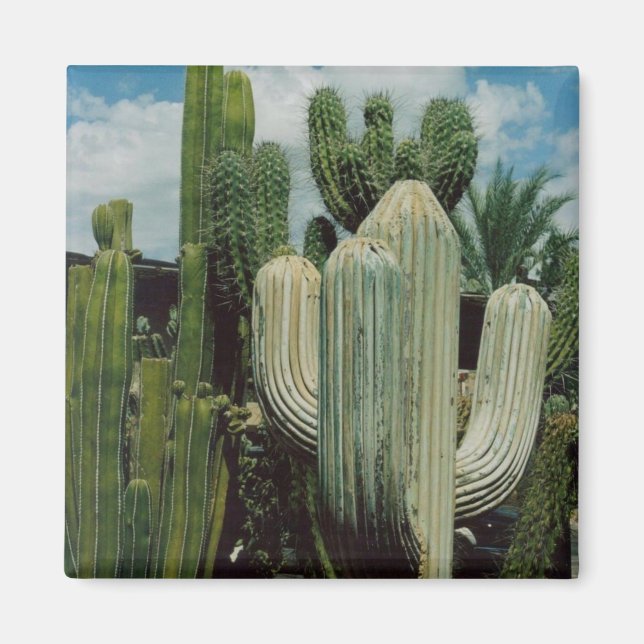 Cactus Magnet (Front)