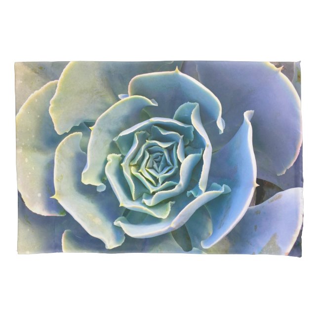 Cactus mint green light purple blue photo bold pillowcase (Front)