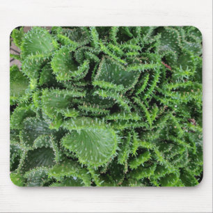 Cactus Mouse Mat