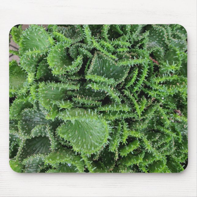 Cactus Mouse Mat (Front)