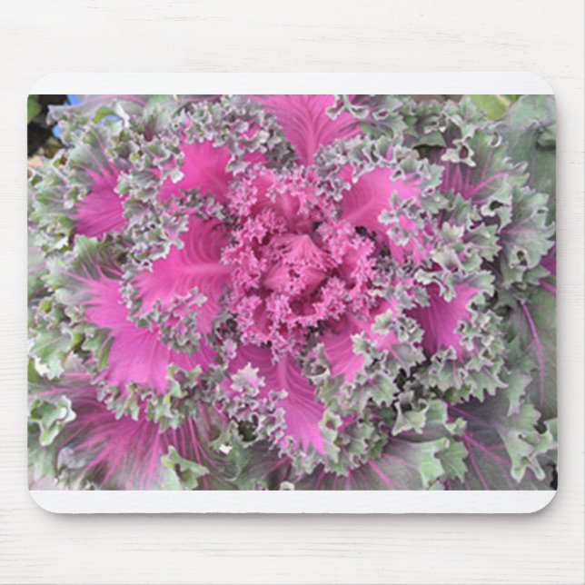 Cactus Mouse Mat (Front)