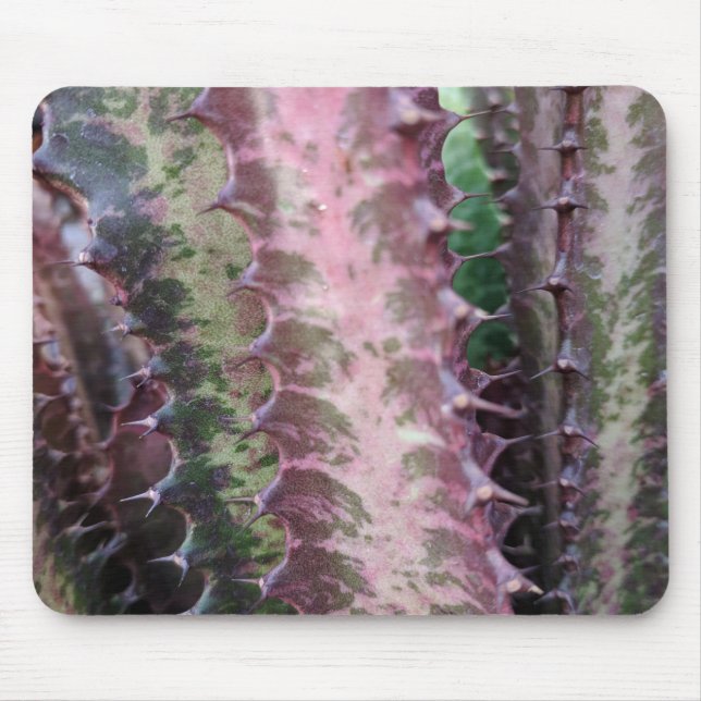 Cactus Mouse Mat (Front)
