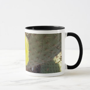 Cactus Mug